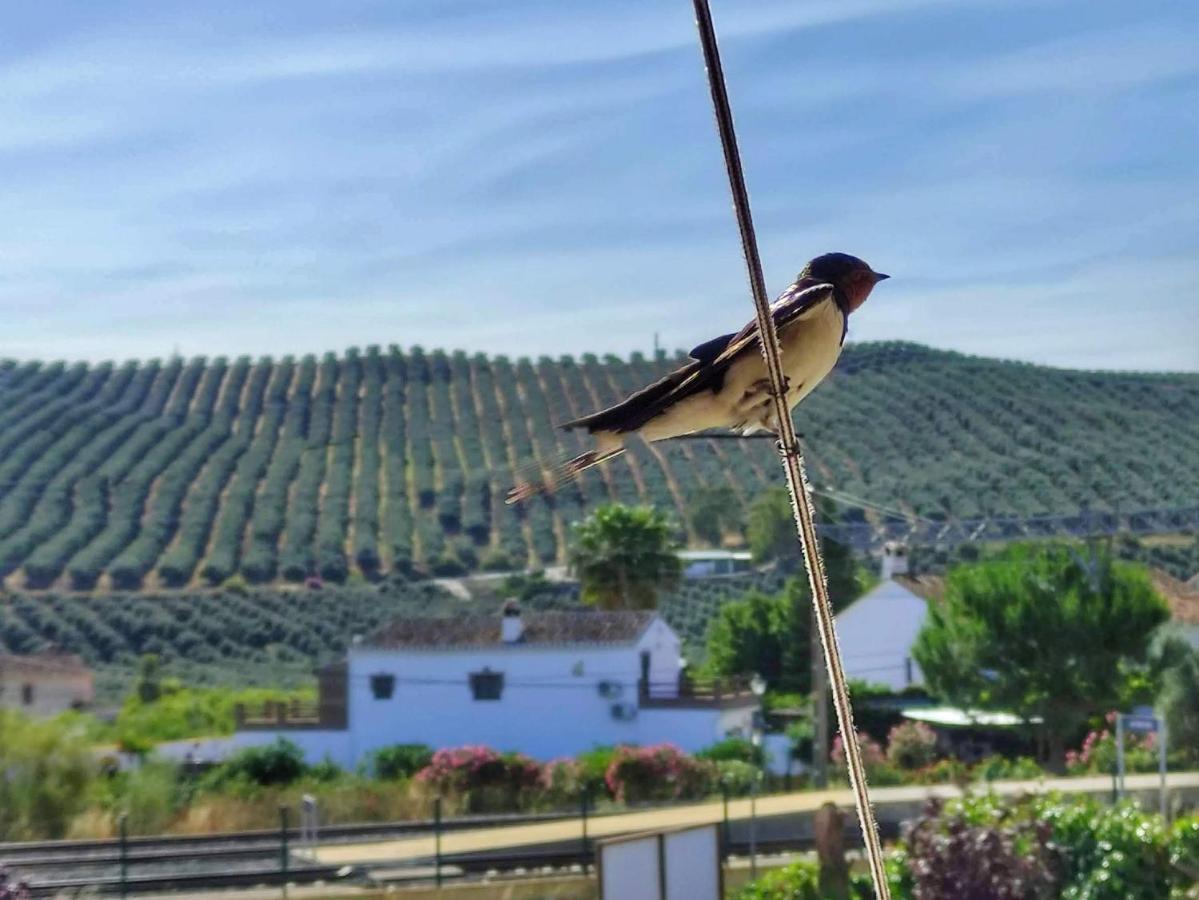 El Rancho Grande - Apartamento Alora Exteriér fotografie